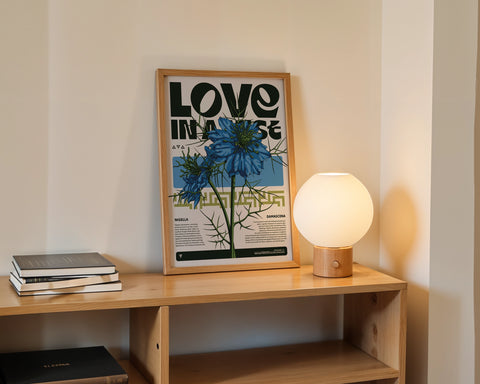 LOVE IN A MIST