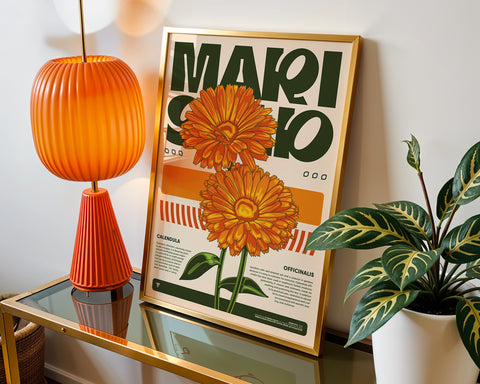 MARIGOLD